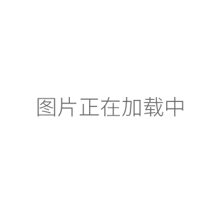 上海跃进电热恒温鼓风干燥箱HGZF-101-1（老型号GZX-GF101-1-BS）